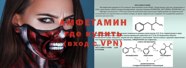 индика Баксан
