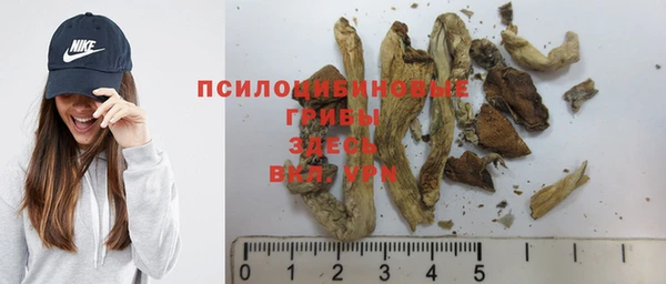 индика Баксан