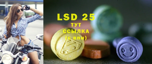 индика Баксан
