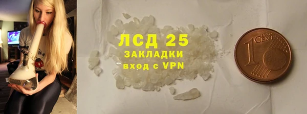 индика Баксан