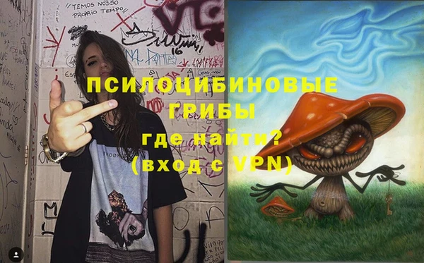гидра Балахна