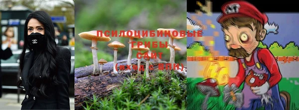 гидра Балахна