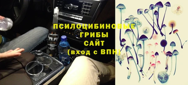 гидра Балахна