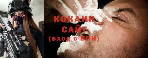 индика Баксан